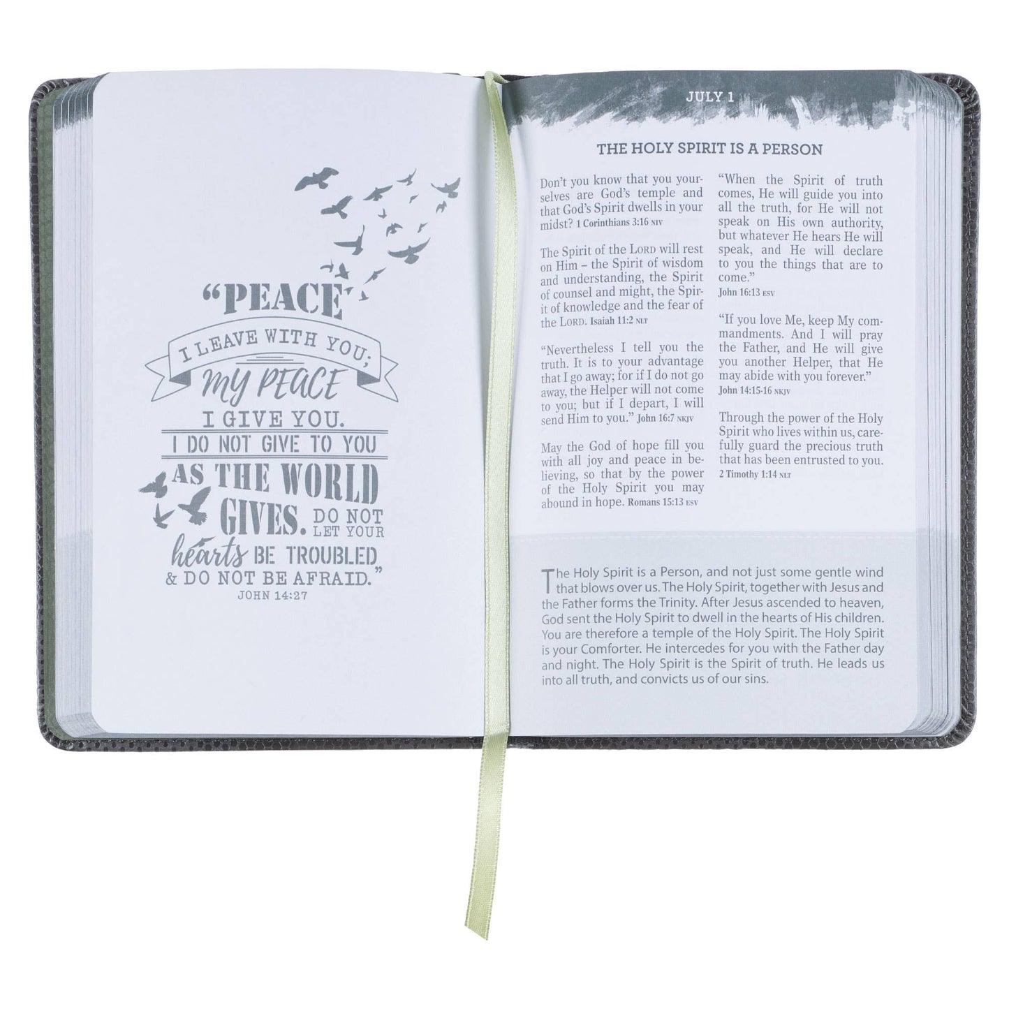 Pocket Bible Devotional for Guys Faux Leather